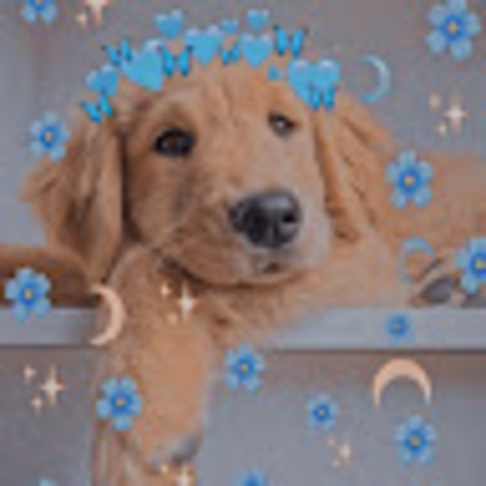 Meet your Posher, Jaslynn